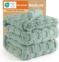 Gentlesoft Blankets Queen Size for Bed - Super Soft Cozy Blanket for Women Men Girls, Large Fuzzy Fleece Throw for Bedroom Decor, Sage Green, 90X90 Inches